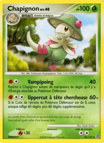 Chapignon · 45