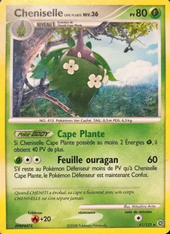 Cheniselle Cape Plante · 41