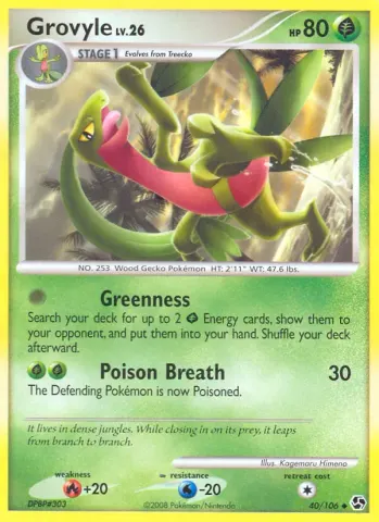 Grovyle · 40