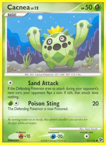 Cacnea · 62