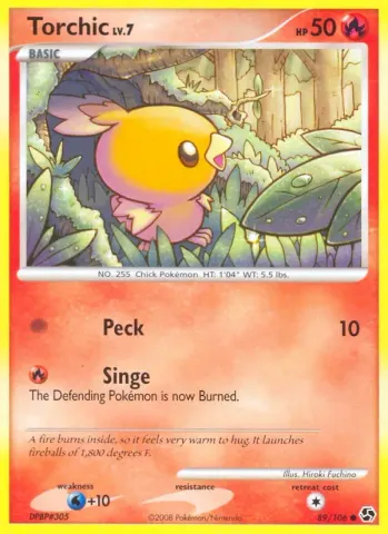 Torchic · 89