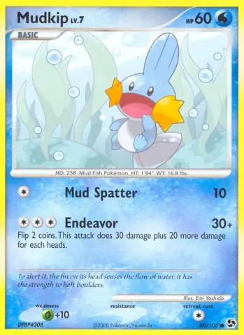 Mudkip · 80