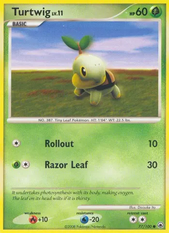 Turtwig · 77