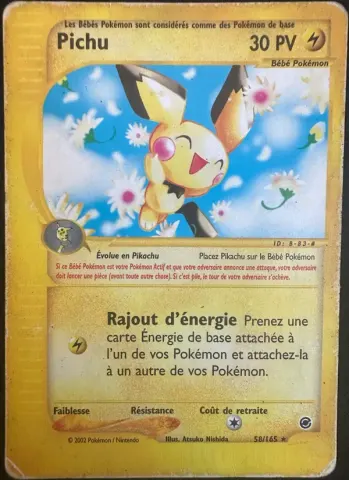 Pichu · 58