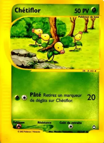 Chétiflor · 45