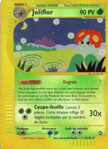Joliflor · 5