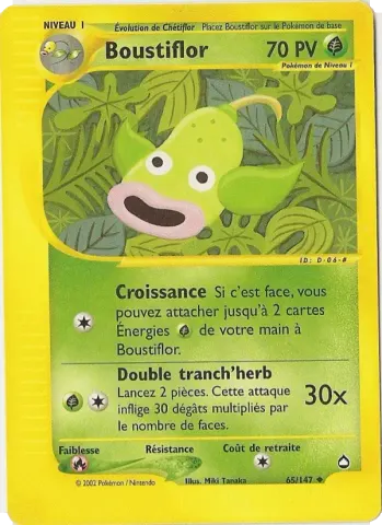 Boustiflor · 65
