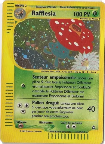 Rafflesia · H31