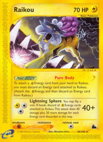 Raikou · 28
