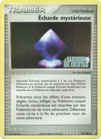 Écharde mystérieuse · 81