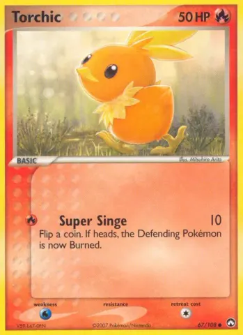 Torchic · 67
