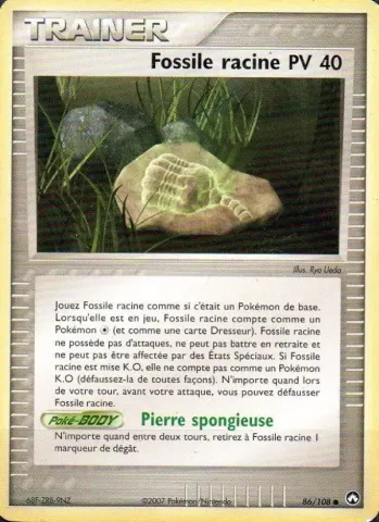 Fossile racine · 86