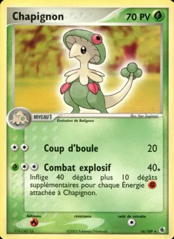 Chapignon · 16
