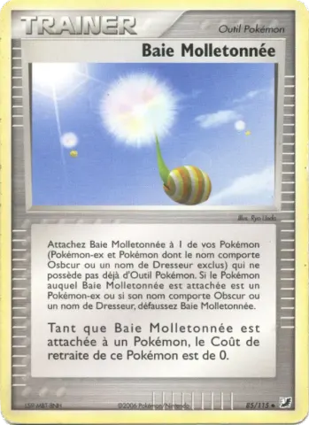 Baie Molletonnée · 85