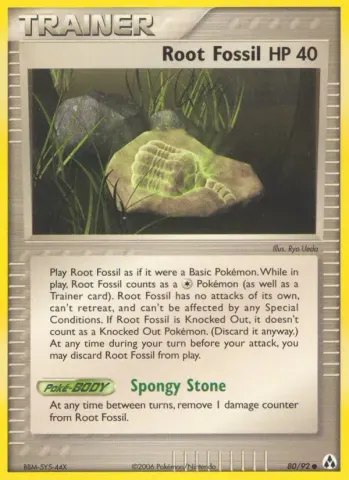 Root Fossil · 80