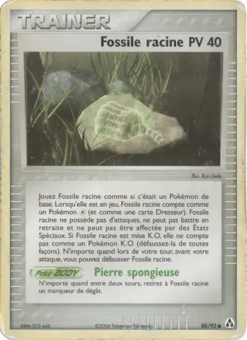Fossile racine · 80