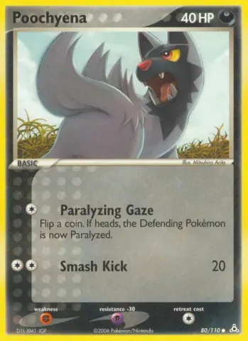 Poochyena · 80