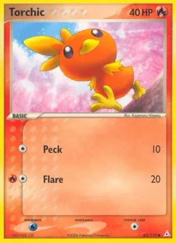 Torchic · 83