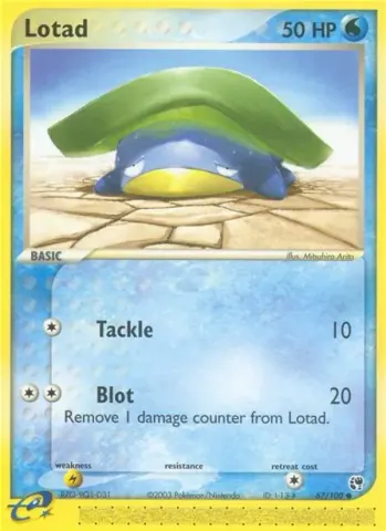 Lotad · 67