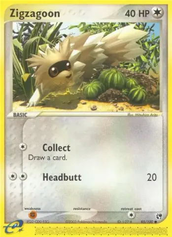 Zigzagoon · 85