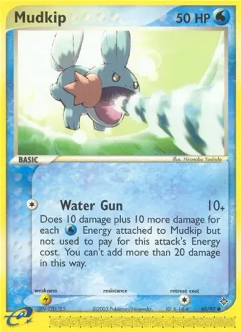 Mudkip · 65