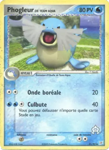Phogleur de Team Aqua · 31