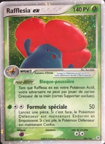 Rafflesia ex · 100