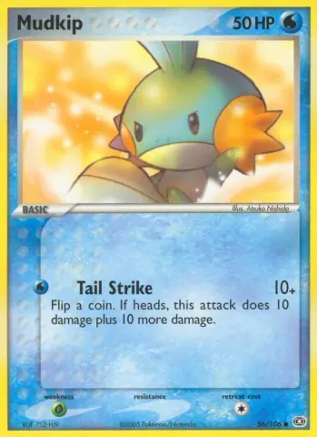 Mudkip · 56