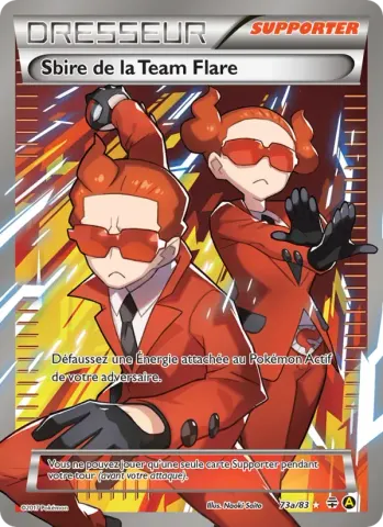 Sbire de la Team Flare · 73