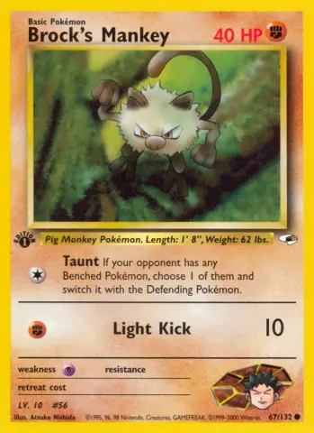 Brock's Mankey · 67