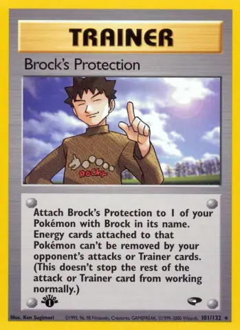 Brock's Protection · 101