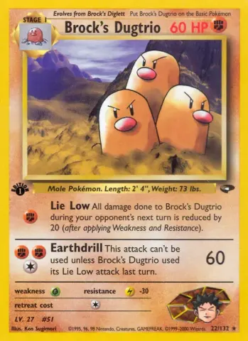 Brock's Dugtrio · 22