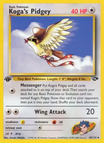 Koga's Pidgey · 49