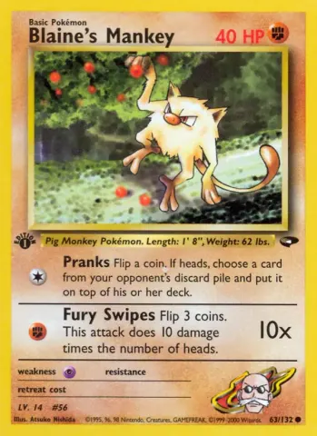 Blaine's Mankey · 63