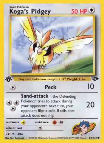 Koga's Pidgey · 80