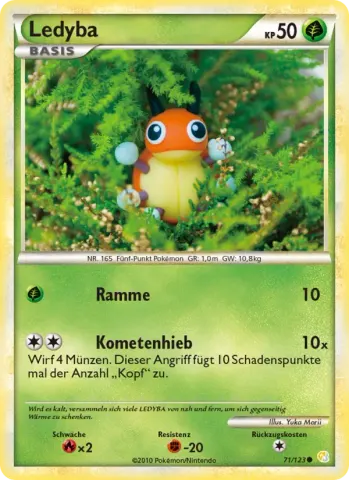 Ledyba · 71