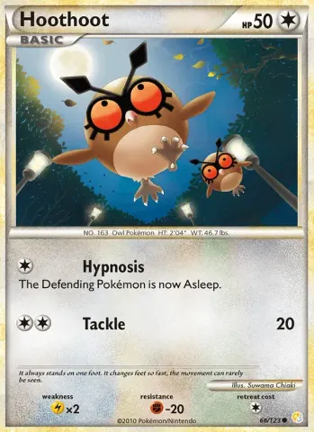 Hoothoot · 66