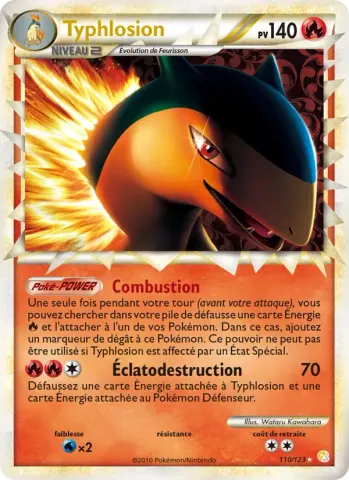 Typhlosion · 110