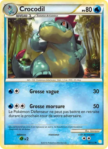 Crocodil · 38