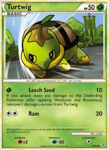 Turtwig · 67