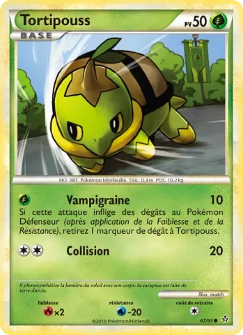 Tortipouss · 67