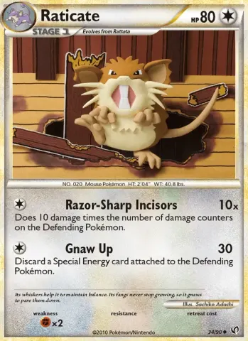 Raticate · 34