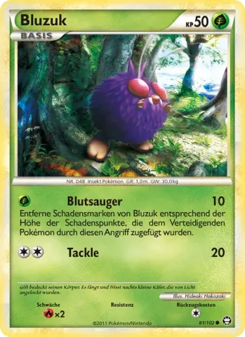 Bluzuk · 81