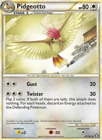 Pidgeotto · 47