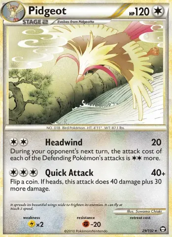 Pidgeot · 29