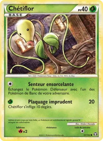 Chétiflor · 57