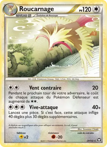 Roucarnage · 29