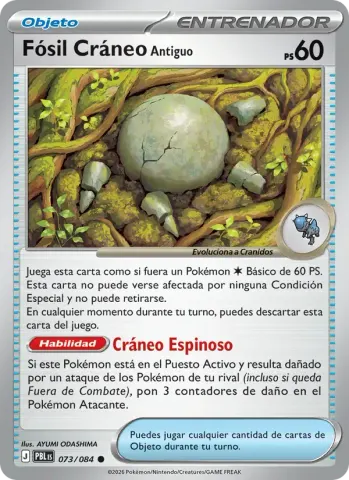 Fósil Cráneo Antiguo · 073