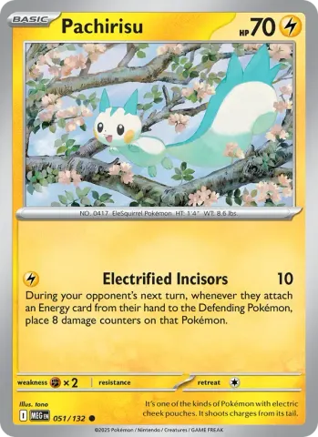 Pachirisu · 051