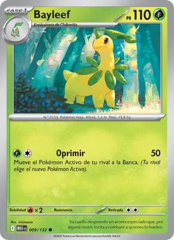 Bayleef · 009